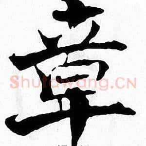 章