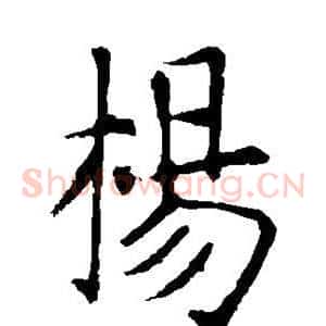 杨