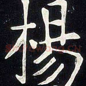 楊
