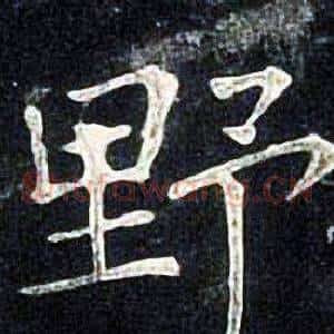 野