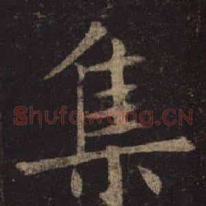 集
