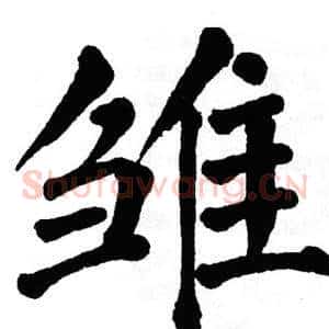 雏