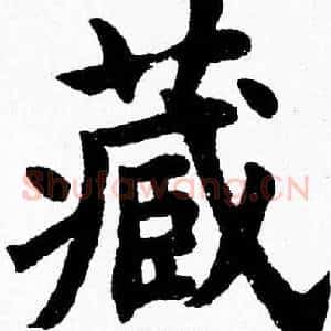 藏