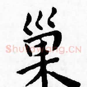 巢