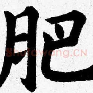 肥