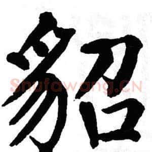 貂