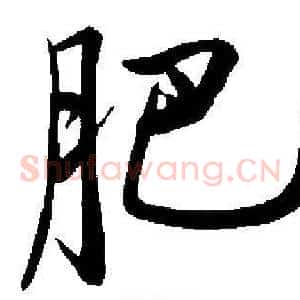 肥