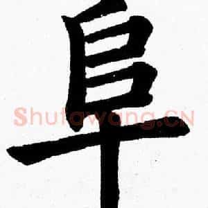 阜
