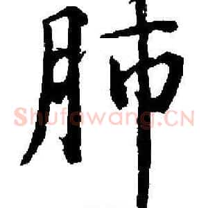 肺