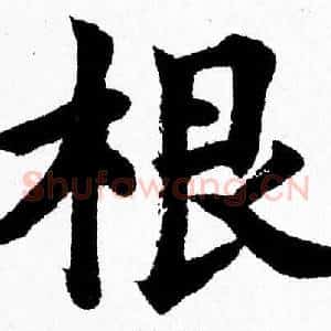 根