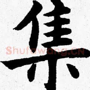 集