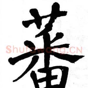 蕃