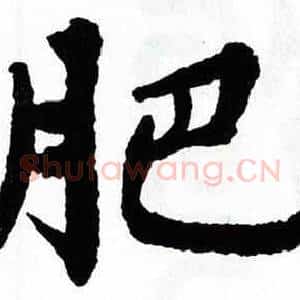 肥