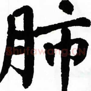 肺
