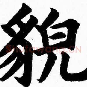 貌