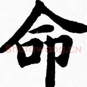 命