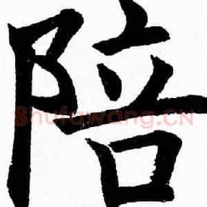 陪