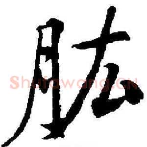 肱