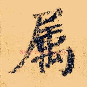 属