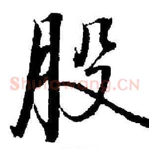 股