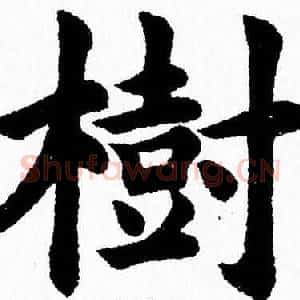 樹