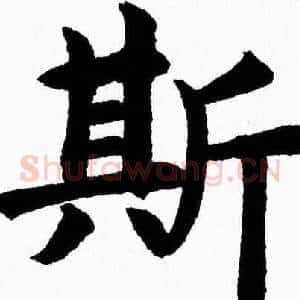斯