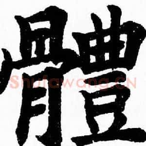 體