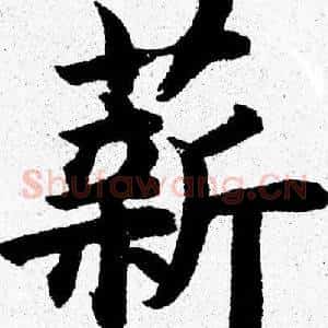 薪