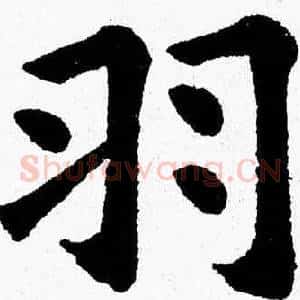 羽