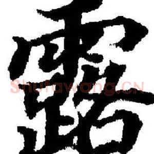 露