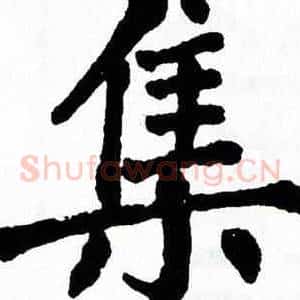 集