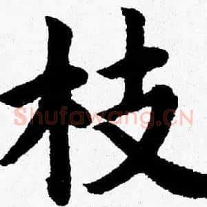 枝