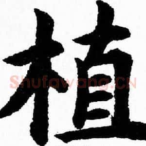 植