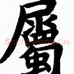 屬