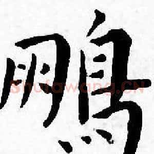 鹏