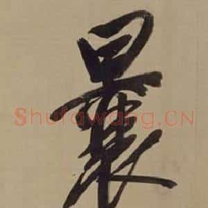 囊