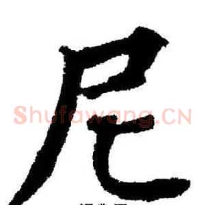 尼