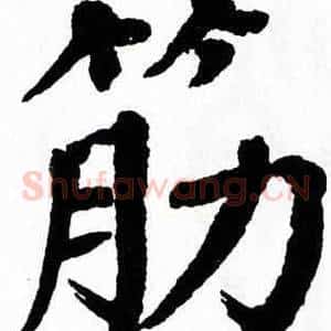 筋