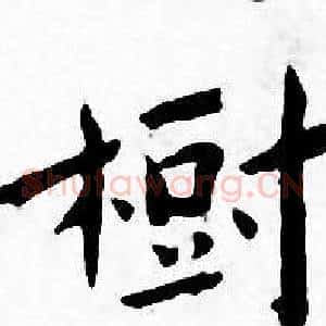 樹