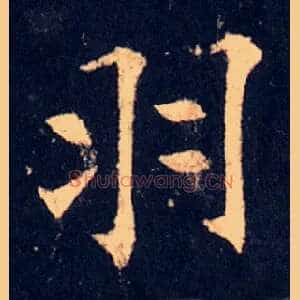 羽