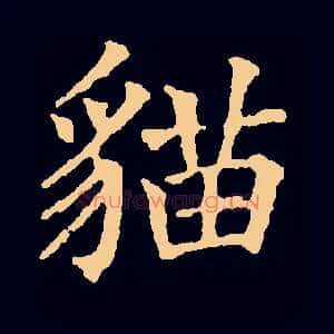 猫