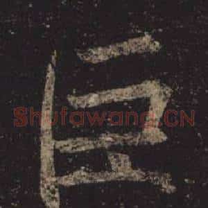 巨