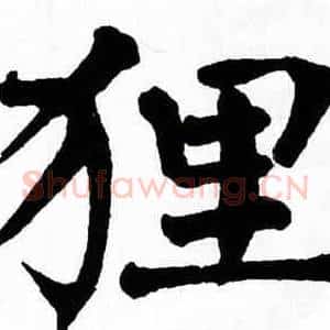 狸