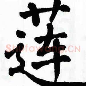 莲