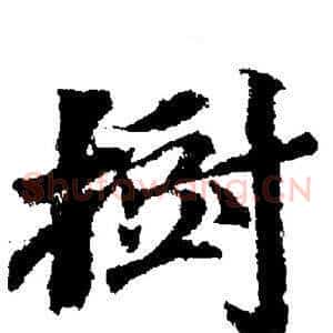 樹