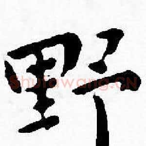野