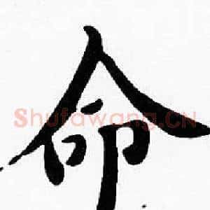 命