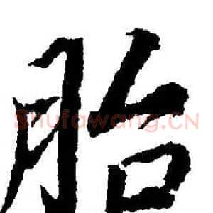 胎