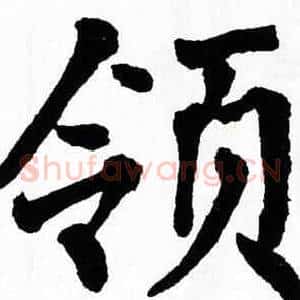 领
