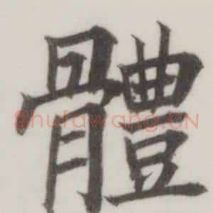 體